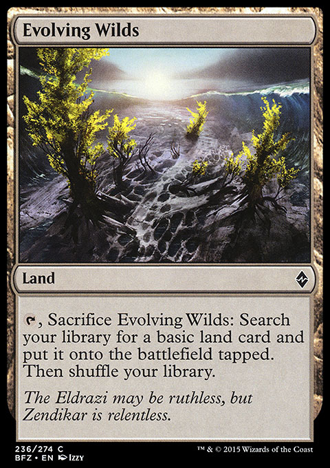 Image of Evolving Wilds